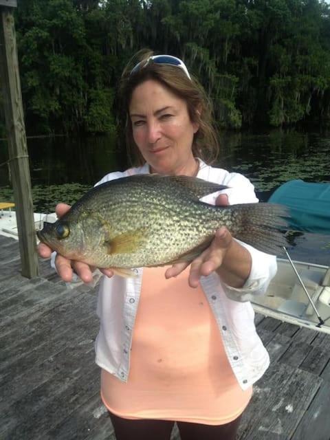 St Johns River Retreat Unit 1 Crescent City Eksteriør bilde